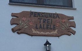 Pensiunea Trei Lalele